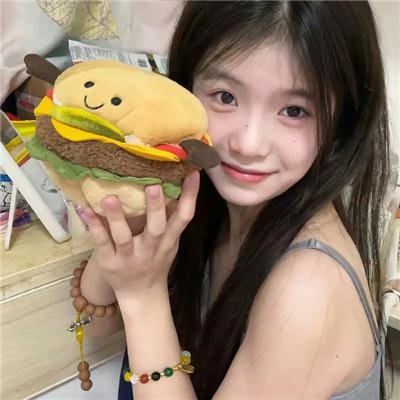 龙牌之谜